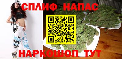 прущие грибы Можайск