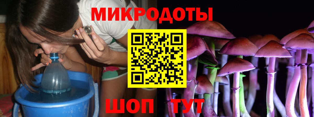Псилоцибиновые грибы Cubensis Богданович